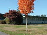 Porter Elementary